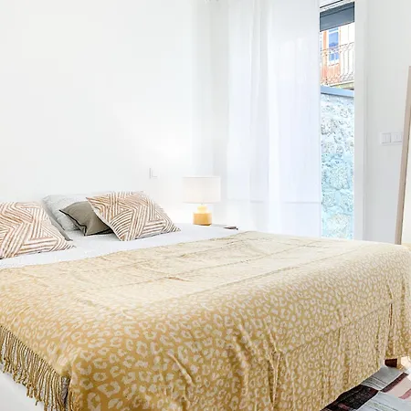 The Wondrous Apartment